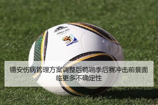 锡安伤病管理方案调整后鹈鹕季后赛冲击前景面临更多不确定性