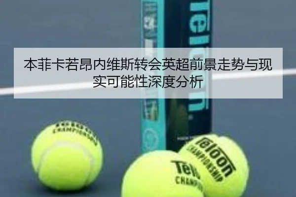 本菲卡若昂内维斯转会英超前景走势与现实可能性深度分析